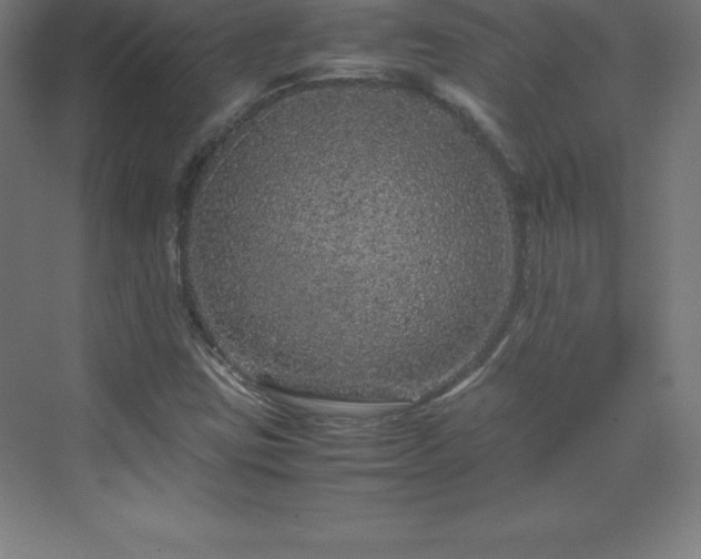 X0000070211403200606021243