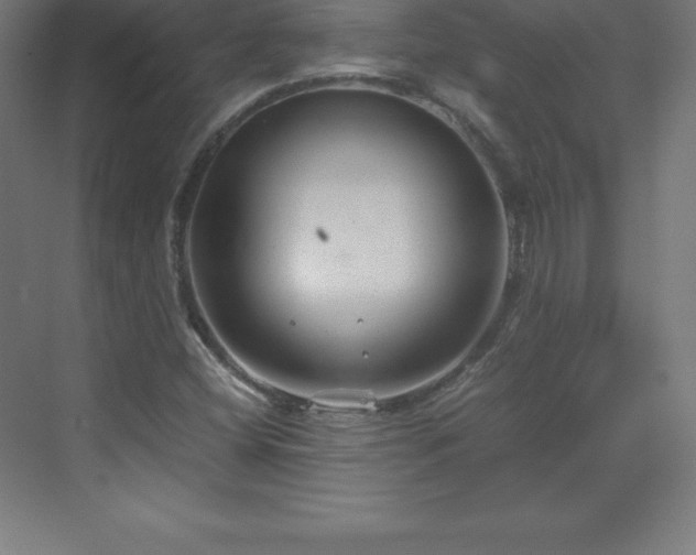 X0000070211404200606021243