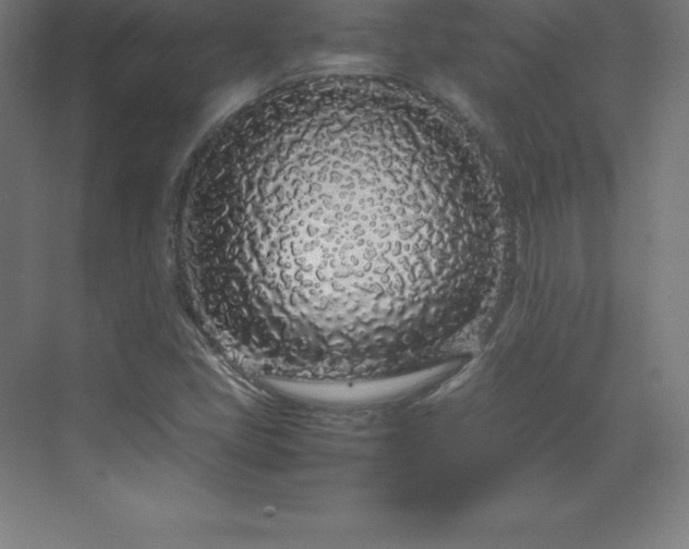 X0000070211405200606021243