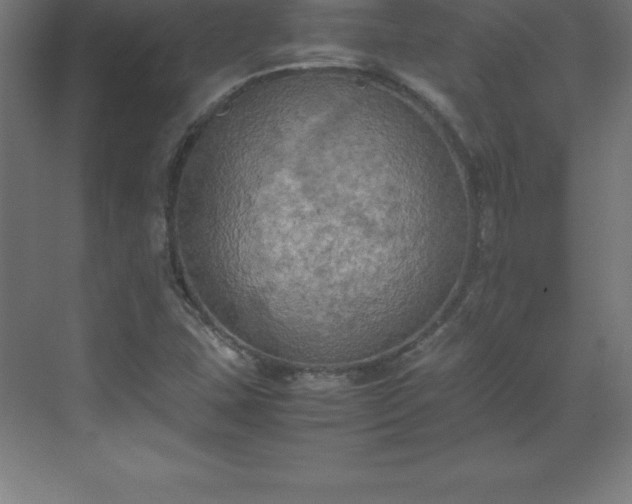 X0000070211407200606021243