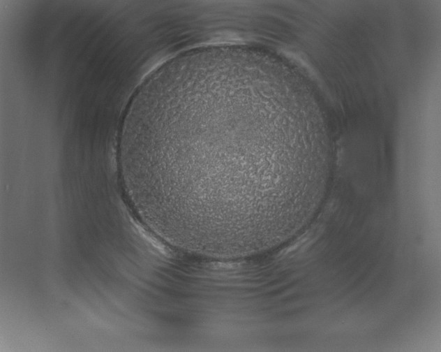 X0000070211409200606021243