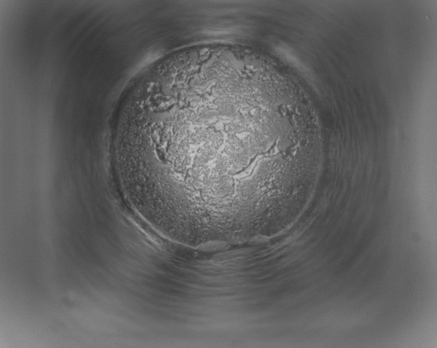 X0000070211411200606021243