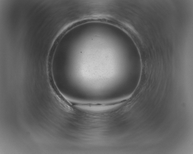 X0000070211412200606021243