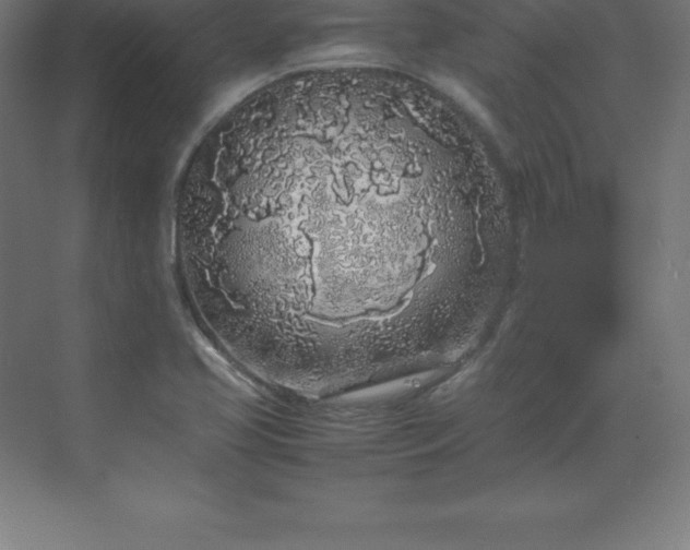 X0000070211413200606021243