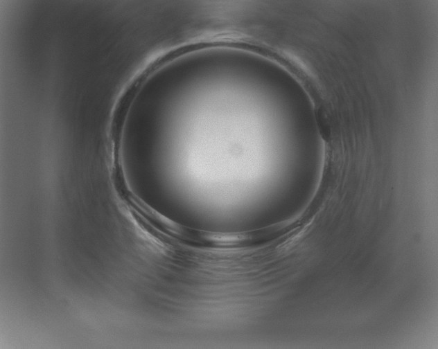 X0000070211414200606021243