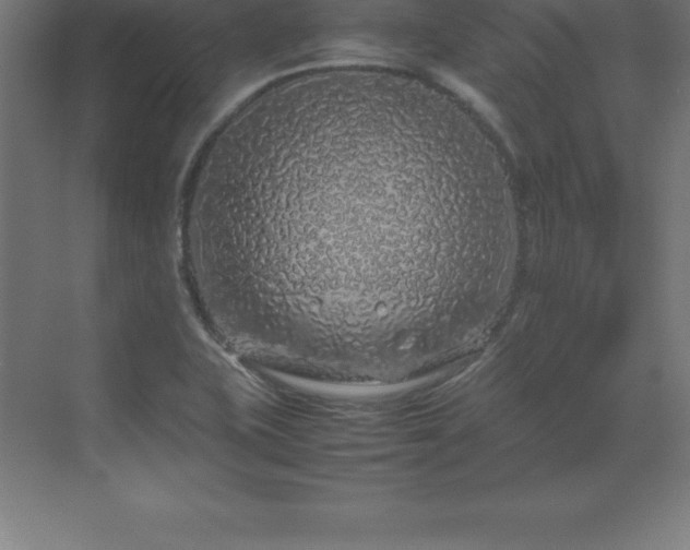 X0000070211415200606021243