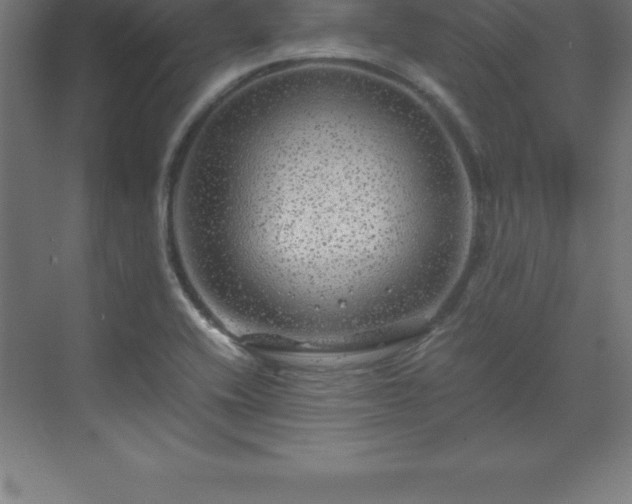 X0000070211416200606021243