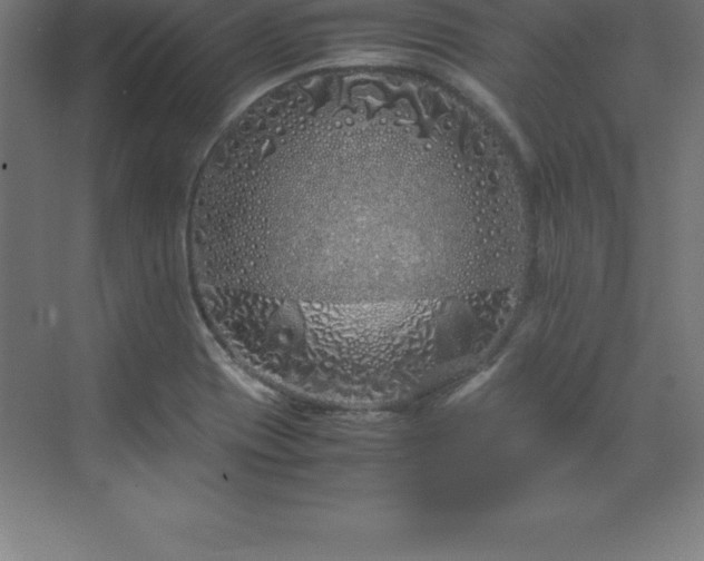 X0000070211417200606021243