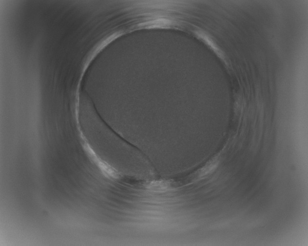 X0000070211418200606021243