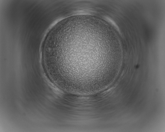 X0000070211419200606021243