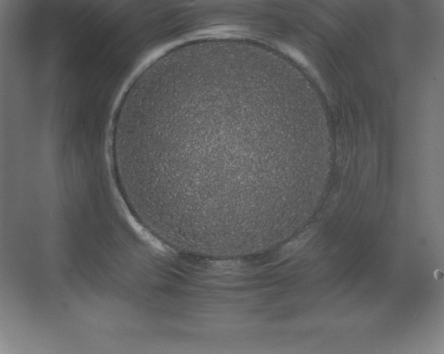 X0000070211421200606021243