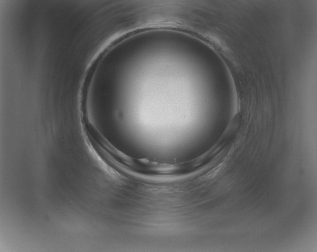 X0000070211422200606021243