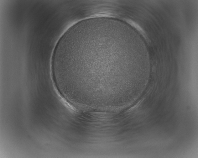 X0000070211423200606021243