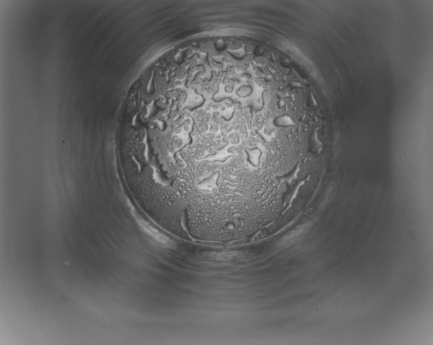 X0000070211425200606021243