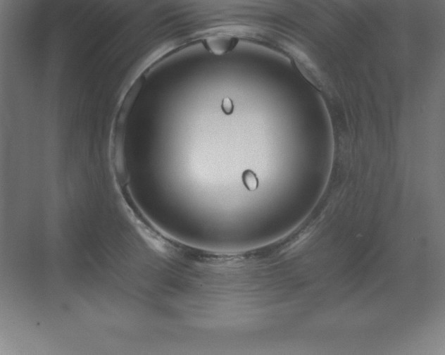 X0000070211426200606021243