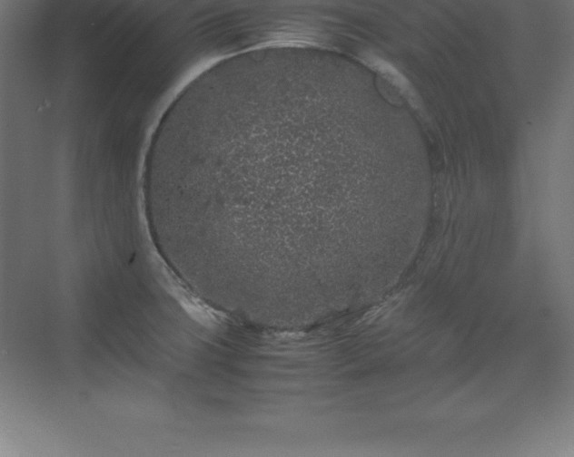 X0000070211427200606021243