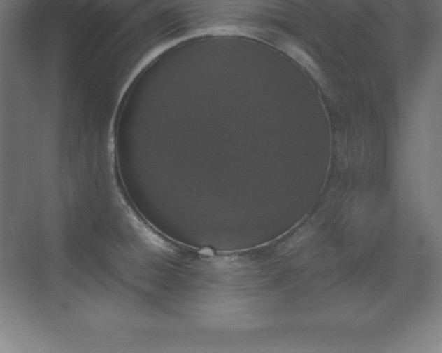 X0000070211428200606021243