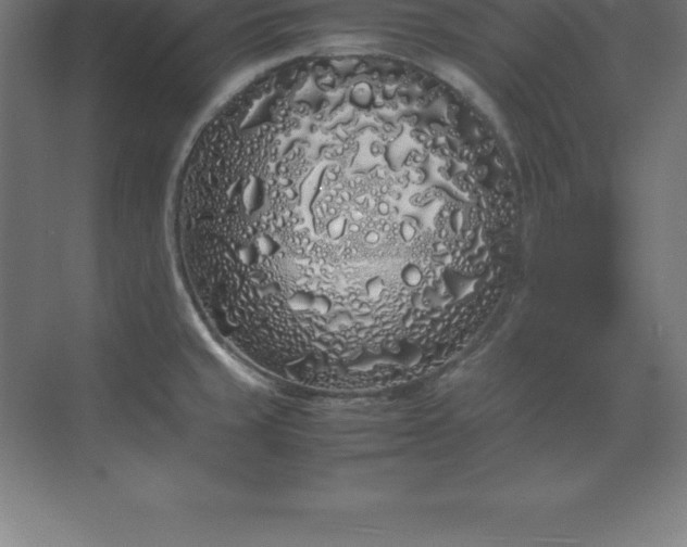 X0000070211429200606021243