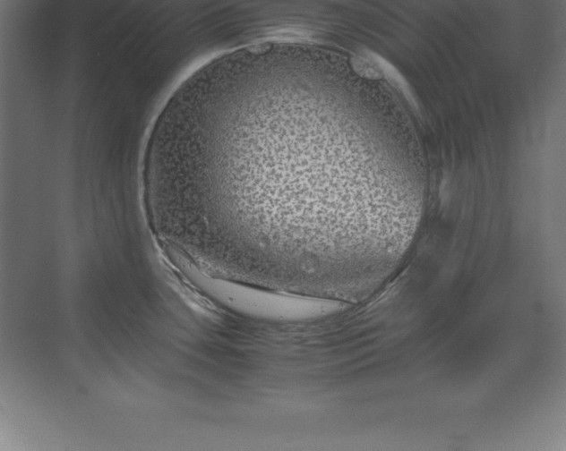 X0000070211435200606021244