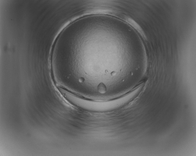 X0000070211436200606021244