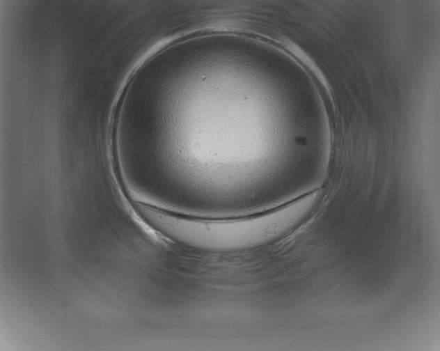 X0000070211437200606021244