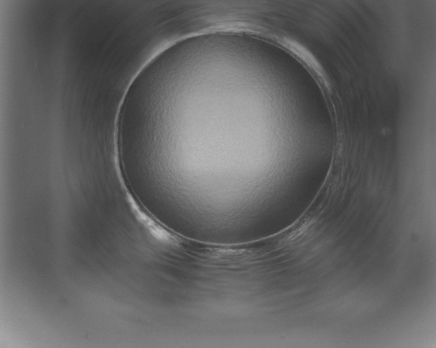 X0000070211439200606021244