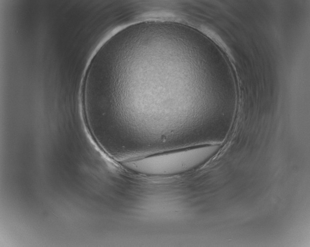 X0000070211440200606021244