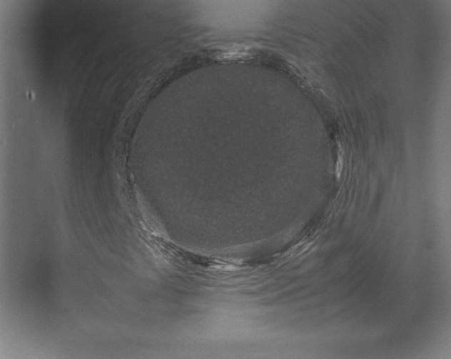 X0000070211441200606021243