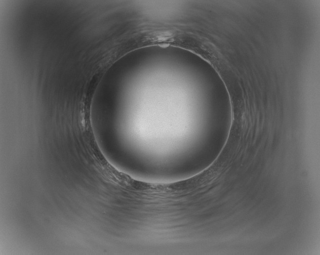 X0000070211442200606021243