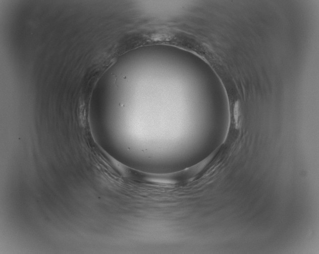 X0000070211443200606021243