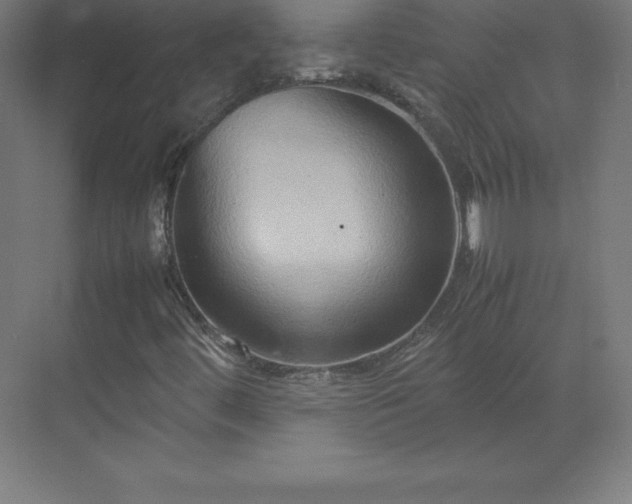 X0000070211444200606021243