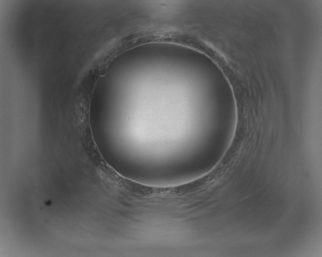 X0000070211447200606021243