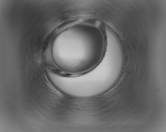 X0000070211450200606021243