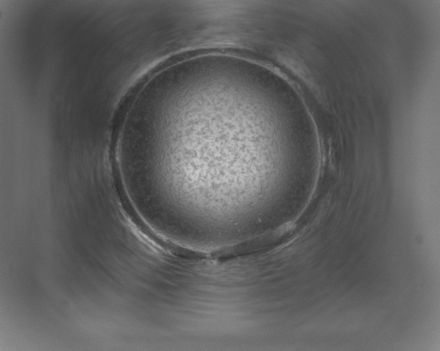 X0000070211452200606021243