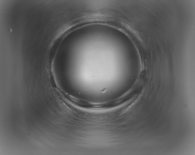 X0000070211453200606021243