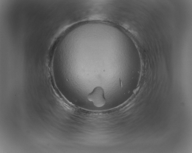 X0000070211454200606021243