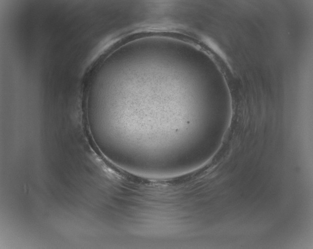 X0000070211456200606021243