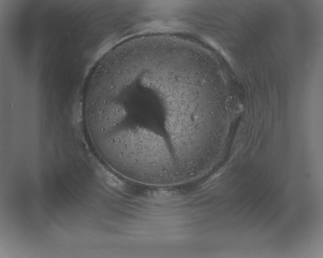 X0000070211459200606021243