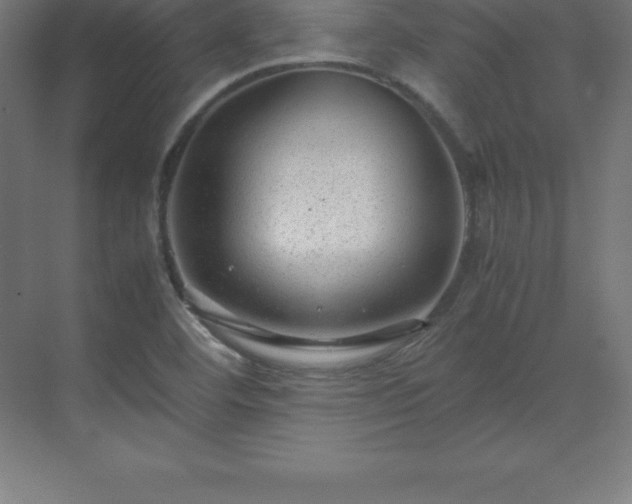 X0000070211460200606021243