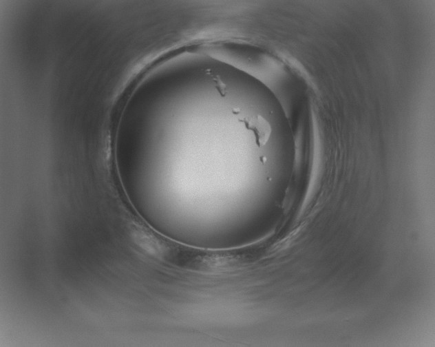 X0000070211461200606021243