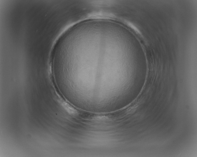 X0000070211462200606021243