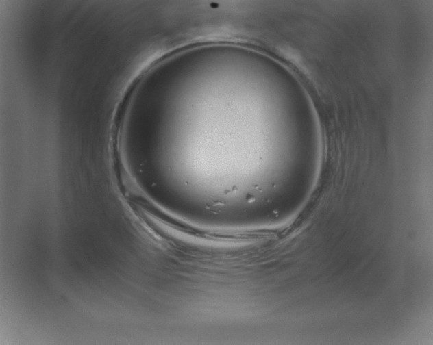 X0000070211463200606021242