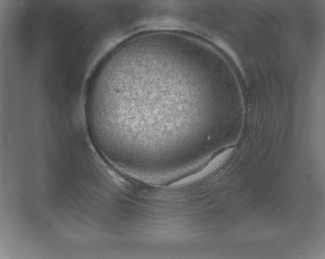 X0000070211464200606021242