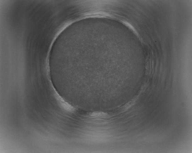 X0000070211466200606021242