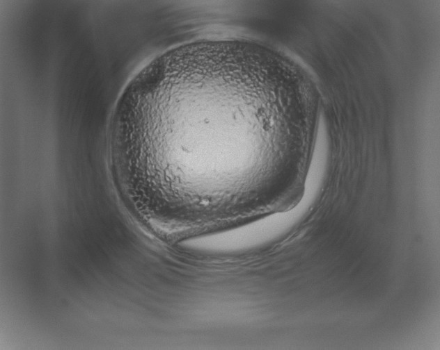 X0000070211467200606021242