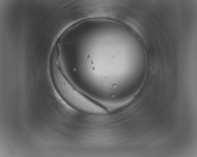 X0000070211468200606021242