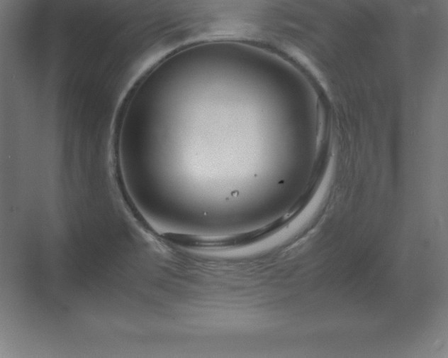 X0000070211469200606021242