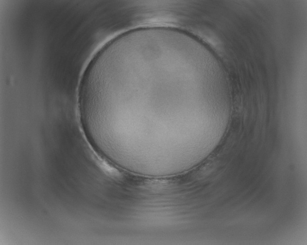 X0000070211470200606021242