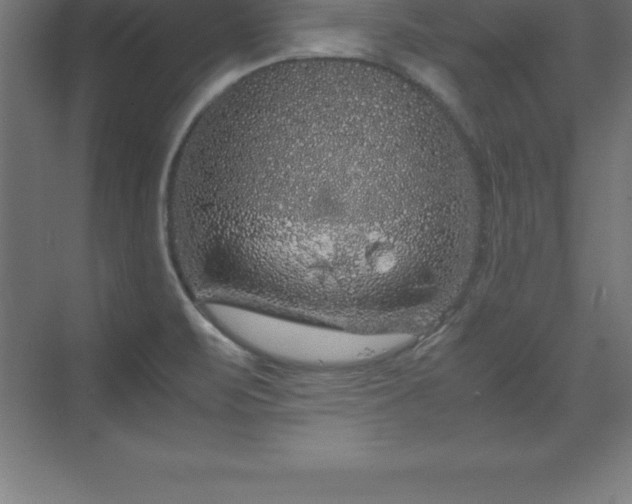 X0000070211471200606021242