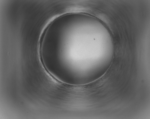 X0000070211472200606021242